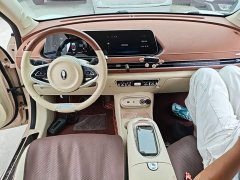 ORA Good Cat 401km Standard Range Luxury LFP - ფოტო 10