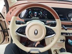ORA Good Cat 401km Standard Range Luxury LFP - ფოტო 11