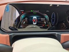 ORA Good Cat 401km Standard Range Luxury LFP - ფოტო 12