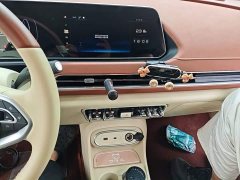 ORA Good Cat 401km Standard Range Luxury LFP - ფოტო 13