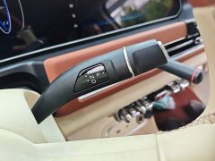 ORA Good Cat 401km Standard Range Luxury LFP - ფოტო 14