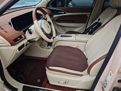 ORA Good Cat 401km Standard Range Luxury LFP - ფოტო 15