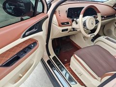 ORA Good Cat 401km Standard Range Luxury LFP - ფოტო 16