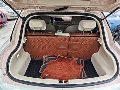 ORA Good Cat 401km Standard Range Luxury LFP - ფოტო 19