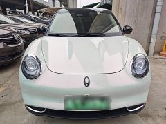 ORA Good Cat 401km Standard Range Luxury LFP - ფოტო 3