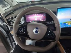 Denza D9 DM-i 970 AWD Flagship - ფოტო 11