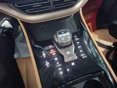 Denza D9 DM-i 970 AWD Flagship - ფოტო 14
