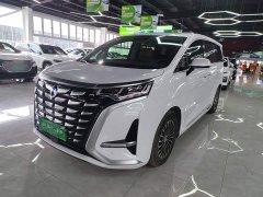 Denza D9 DM-i 970 AWD Flagship - ფოტო 2