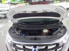 Denza D9 DM-i 970 AWD Flagship - ფოტო 20