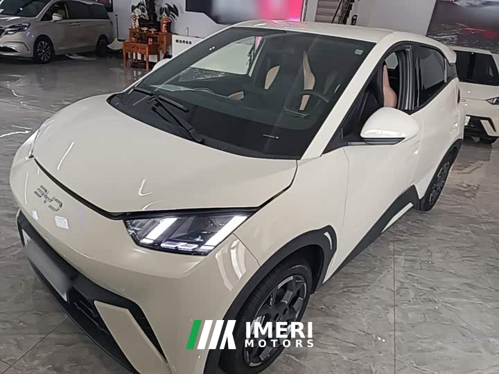 BYD Seagull 305km Freedom Edition - ავტომობილი ჩინეთიდან