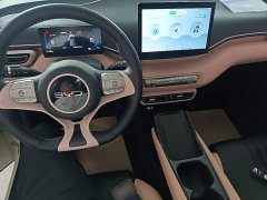 BYD Seagull 305km Freedom Edition - ფოტო 10