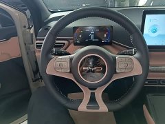 BYD Seagull 305km Freedom Edition - ფოტო 11