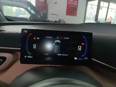 BYD Seagull 305km Freedom Edition - ფოტო 12