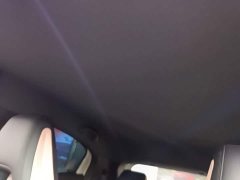 BYD Seagull 305km Freedom Edition - ფოტო 18