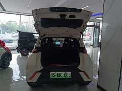 BYD Seagull 305km Freedom Edition - ფოტო 19