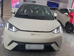 BYD Seagull 305km Freedom Edition - ფოტო 3