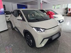 BYD Seagull 305km Freedom Edition - ფოტო 4