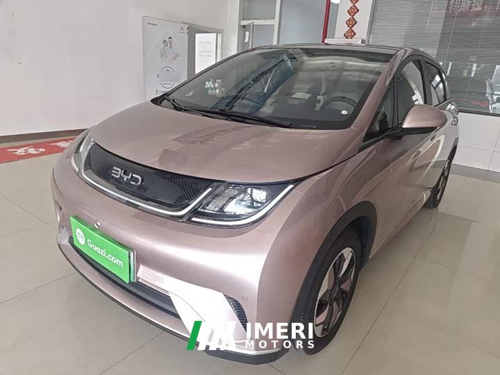 BYD Dolphin 420km Fashion Edition - ავტომობილი ჩინეთიდან