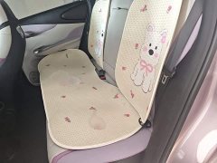 BYD Dolphin 420km Fashion Edition - ფოტო 17