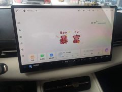 Baojun Yunhai 140km Plug-in Hybrid - ფოტო 13