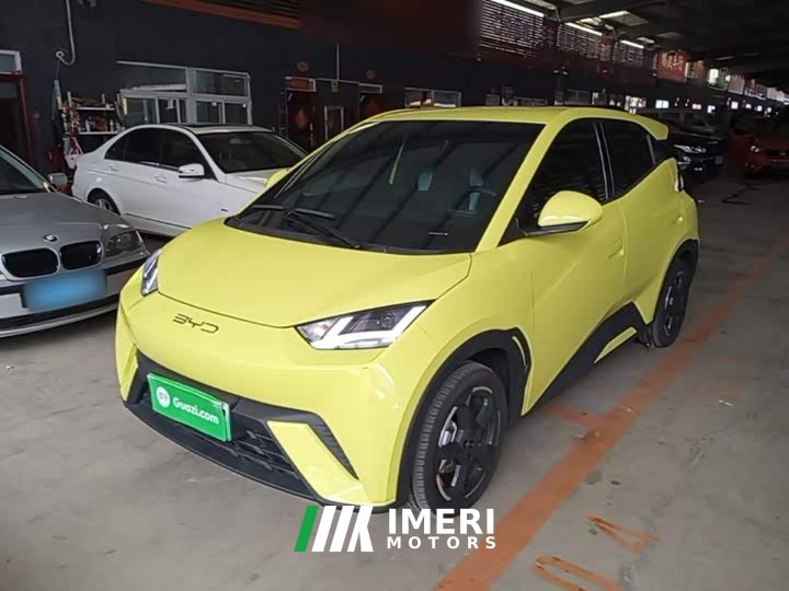 BYD Seagull 2023 Freedom Edition - ავტომობილი ჩინეთიდან