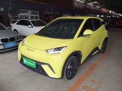 BYD Seagull 2023 Freedom Edition - ფოტო 1