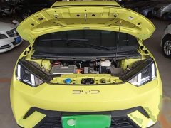BYD Seagull 2023 Freedom Edition - ფოტო 20