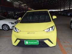 BYD Seagull 2023 Freedom Edition - ფოტო 3