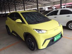 BYD Seagull 2023 Freedom Edition - ფოტო 4