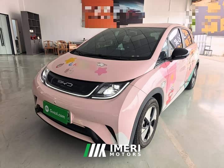 BYD Dolphin 420km Freedom Edition - ავტომობილი ჩინეთიდან