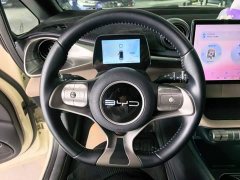 BYD Dolphin 420km Freedom Edition - ფოტო 11
