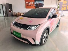 BYD Dolphin 420km Freedom Edition - ფოტო 2