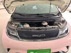 BYD Dolphin 420km Freedom Edition - ფოტო 20