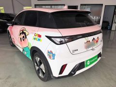 BYD Dolphin 420km Freedom Edition - ფოტო 5