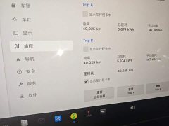 Tesla Model 3 Standard Range RWD Upgrade - ფოტო 12