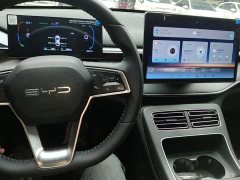 BYD Destroyer 05 Glory Edition DM-i 55KM Luxury - ფოტო 10