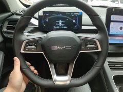 BYD Destroyer 05 Glory Edition DM-i 55KM Luxury - ფოტო 11