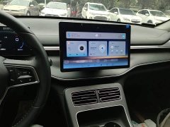 BYD Destroyer 05 Glory Edition DM-i 55KM Luxury - ფოტო 13