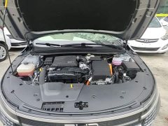 BYD Destroyer 05 Glory Edition DM-i 55KM Luxury - ფოტო 20