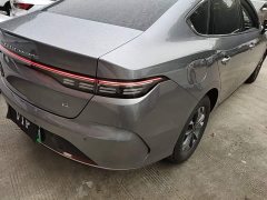 BYD Destroyer 05 Glory Edition DM-i 55KM Luxury - ფოტო 8
