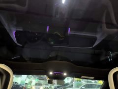 Xiaomi SU7 Rear-Wheel Drive Ultra-Long Range Advanced Autonomous Driving Pro - ფოტო 18
