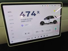 Nio Firefly Luminous Edition - ფოტო 12