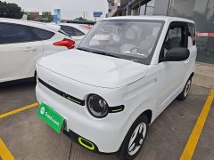 Geely Panda Mini 210km Vitality Edition - ფოტო 2