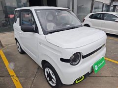 Geely Panda Mini 210km Vitality Edition - ფოტო 4