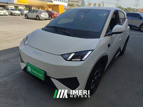 2025 BYD Seagull Smart Driving Edition 305km Freedom Edition - ავტომობილი ჩინეთიდან