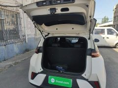 BYD Seagull Smart Driving Edition 305km Freedom Edition - ფოტო 19