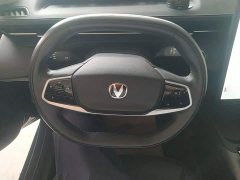 Changan Yida 2023 Blue Whale NE 1.5T GDI DCT Luxury - ფოტო 11