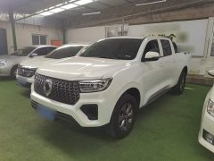 Tesla Cannon 2023 2.0T Commercial Auto Diesel 4WD Elite Long Bed GW4D20M - ფოტო 1