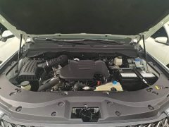 Tesla Cannon 2023 2.0T Commercial Auto Diesel 4WD Elite Long Bed GW4D20M - ფოტო 20