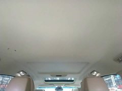 Buick GL8 ES Luxe 653T Prestige - ფოტო 18